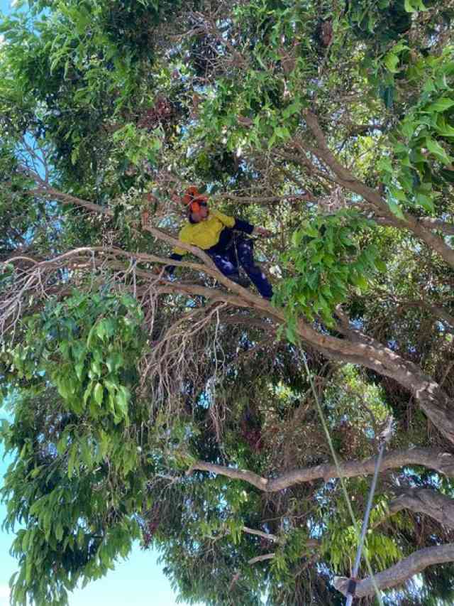 123581686_10158062546645674_4334412765116276821_o