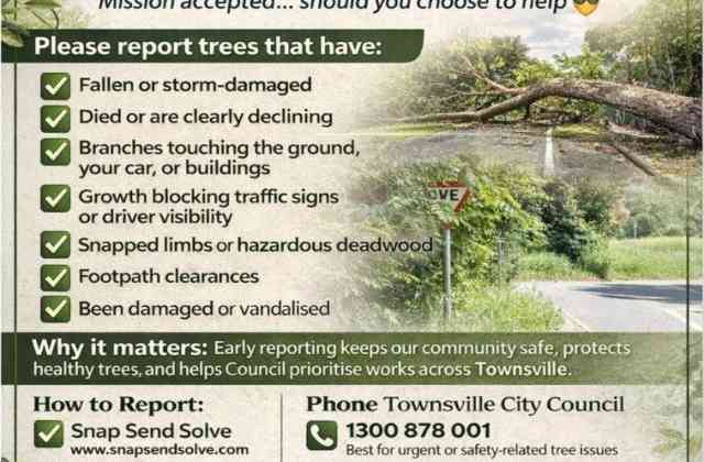 Townsville Back to Basics: Tree Safety Edition