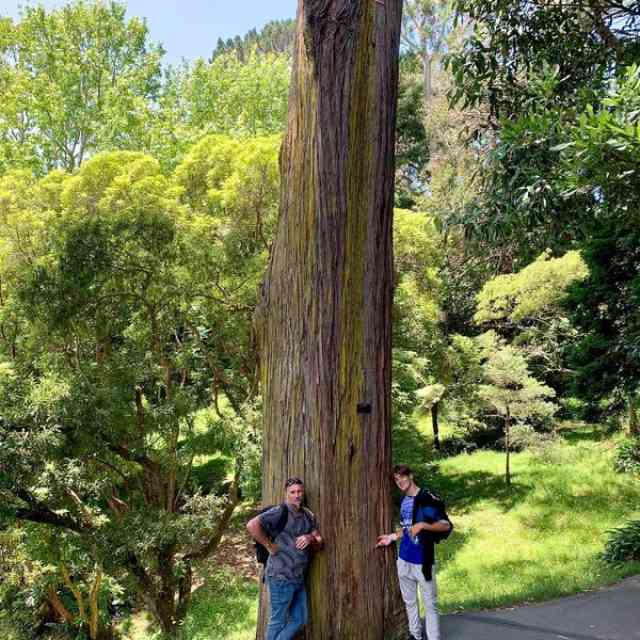 81706584_10157188802980674_1786371757054099456_o