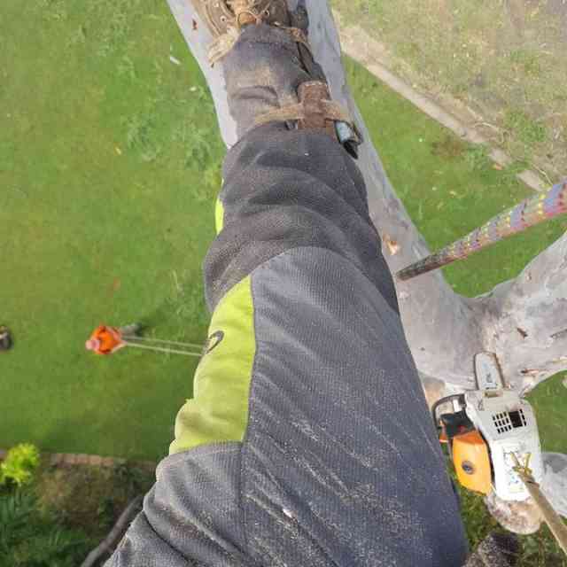 64240693_2202279063172251_8655741294930296832_o