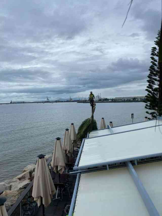 149757882_10158301082110674_630237036587109881_o