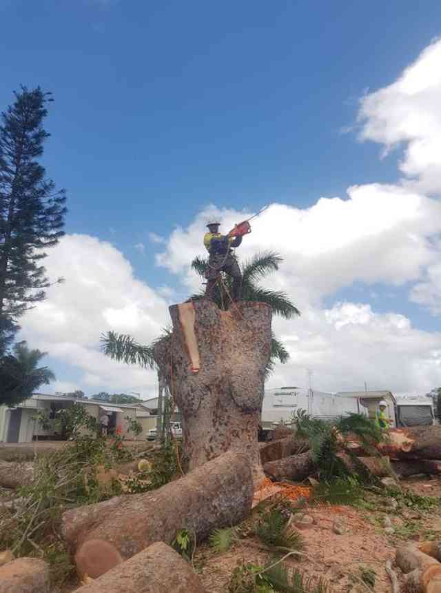 126841059_10158104104660674_8873882719072409287_o