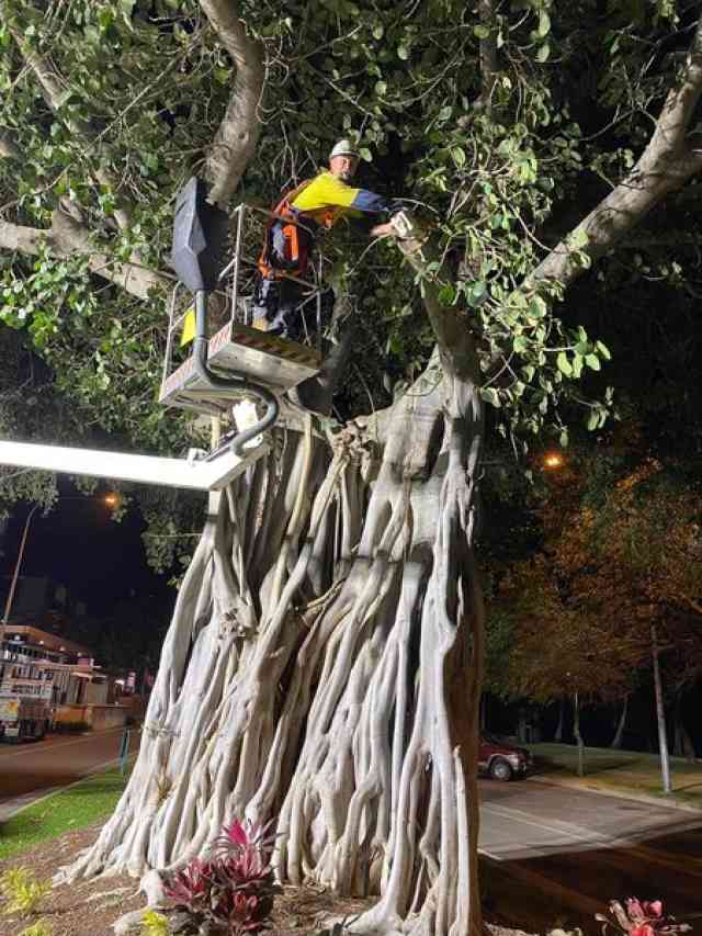 119192924_10157947706800674_2777934681896579595_o