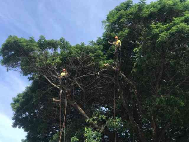 53720080_10156426017075674_7145761893238439936_n